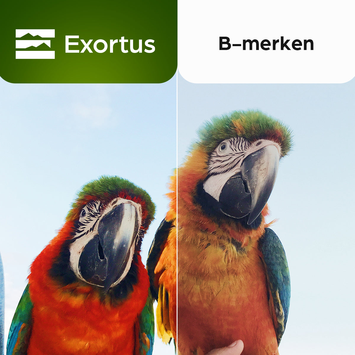 Exortus® - FMC Compacte Verrekijker - Exortus-Outdoor